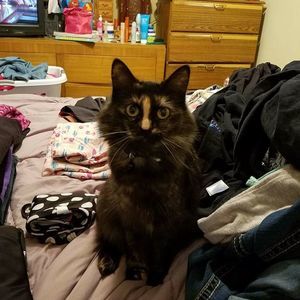 Meet your Posher, Cheryl